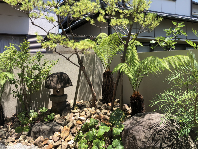 おすすめシンボルツリー⑧ - 和歌山のエクステリア・外構・ガーデン